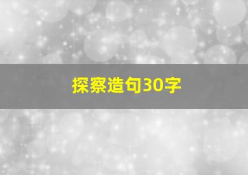 探察造句30字