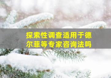 探索性调查适用于德尔菲等专家咨询法吗