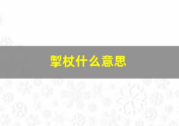 掣杖什么意思