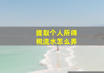 提取个人所得税流水怎么弄