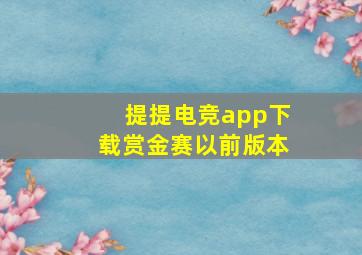 提提电竞app下载赏金赛以前版本