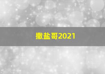 撒盐哥2021