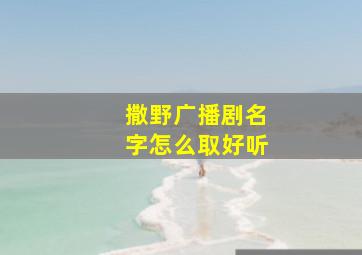 撒野广播剧名字怎么取好听