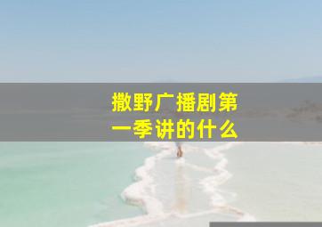 撒野广播剧第一季讲的什么