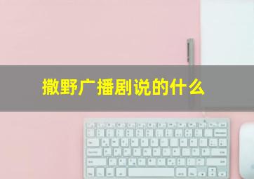 撒野广播剧说的什么