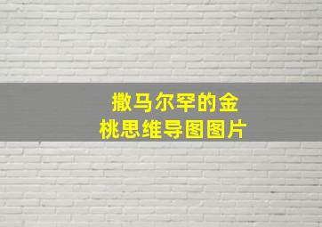 撒马尔罕的金桃思维导图图片