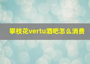 攀枝花vertu酒吧怎么消费