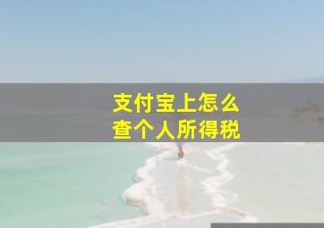 支付宝上怎么查个人所得税