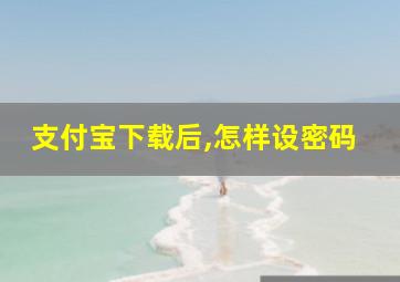 支付宝下载后,怎样设密码