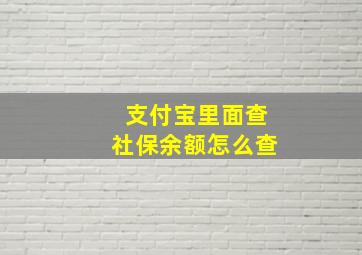 支付宝里面查社保余额怎么查