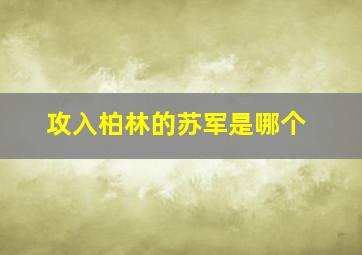 攻入柏林的苏军是哪个