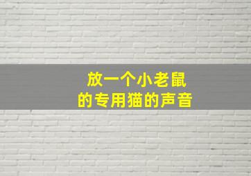 放一个小老鼠的专用猫的声音