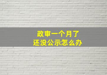 政审一个月了还没公示怎么办