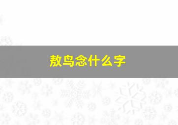 敖鸟念什么字