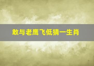 敢与老鹰飞低猜一生肖