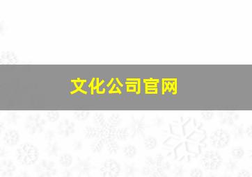 文化公司官网