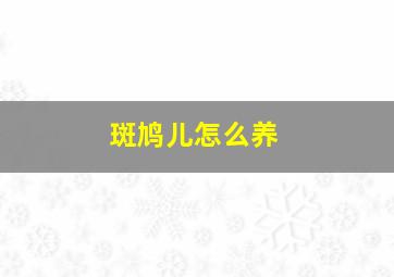 斑鸠儿怎么养