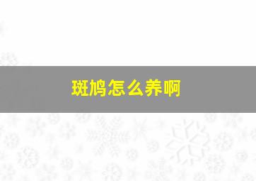 斑鸠怎么养啊