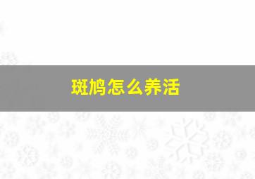 斑鸠怎么养活