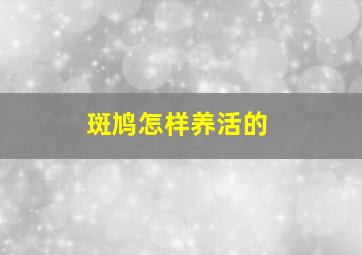 斑鸠怎样养活的