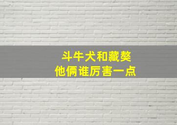 斗牛犬和藏獒他俩谁厉害一点