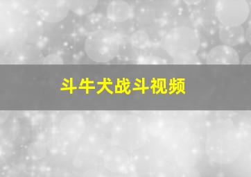 斗牛犬战斗视频