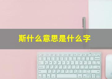 斯什么意思是什么字