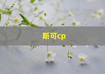 斯可cp