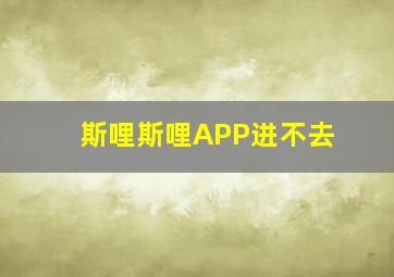 斯哩斯哩APP进不去