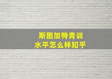 斯图加特青训水平怎么样知乎