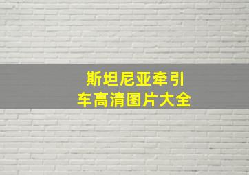 斯坦尼亚牵引车高清图片大全