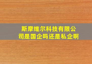 斯摩维尔科技有限公司是国企吗还是私企啊