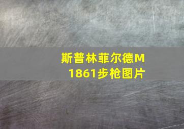 斯普林菲尔德M1861步枪图片