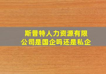 斯普特人力资源有限公司是国企吗还是私企