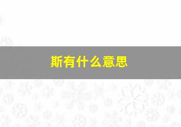 斯有什么意思