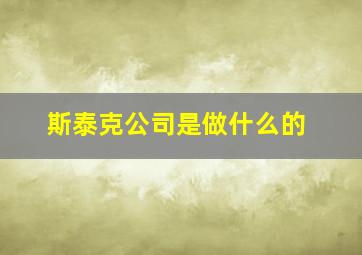 斯泰克公司是做什么的