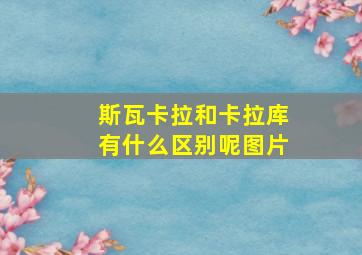 斯瓦卡拉和卡拉库有什么区别呢图片