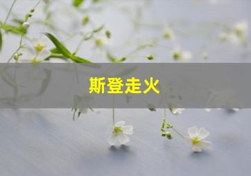 斯登走火