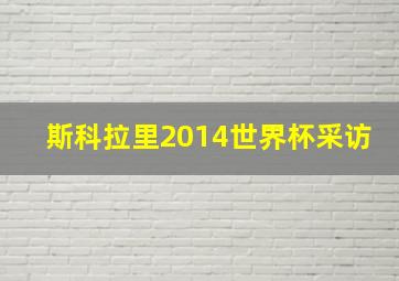 斯科拉里2014世界杯采访