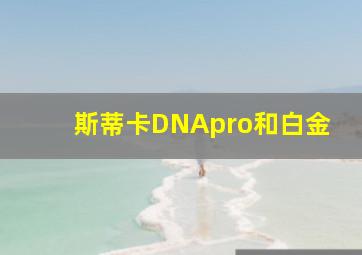 斯蒂卡DNApro和白金