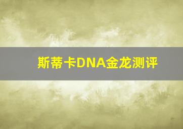 斯蒂卡DNA金龙测评