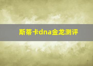 斯蒂卡dna金龙测评