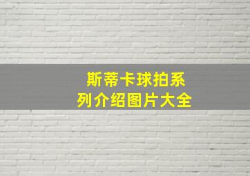 斯蒂卡球拍系列介绍图片大全