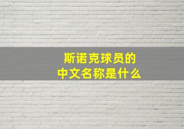 斯诺克球员的中文名称是什么