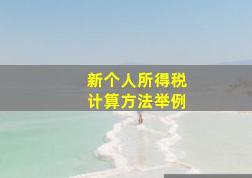 新个人所得税计算方法举例