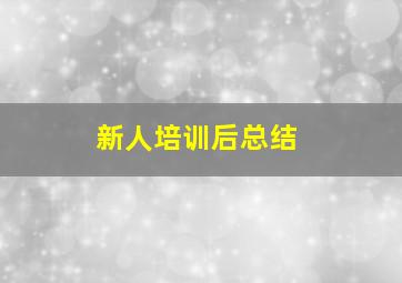 新人培训后总结