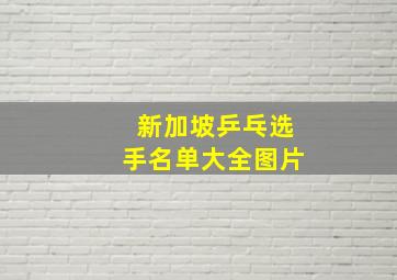 新加坡乒乓选手名单大全图片