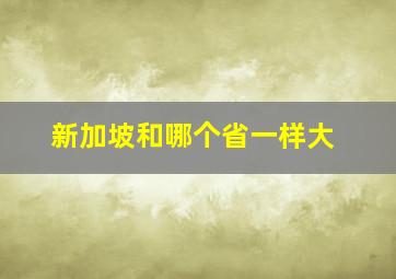 新加坡和哪个省一样大