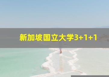 新加坡国立大学3+1+1