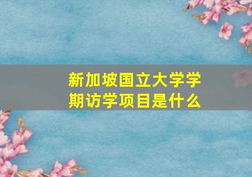 新加坡国立大学学期访学项目是什么